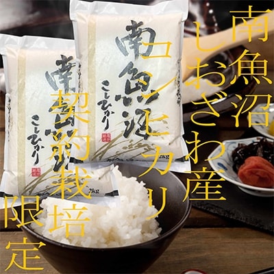 2022年2月発送開始『定期便』契約栽培限定 南魚沼しおざわ産コシヒカリ 精米4Kg全3回