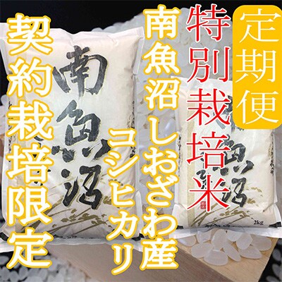 2023年3月発送開始『定期便』特別栽培米15kg※生産者限定 南魚沼しおざわ産コシヒカリ全3回