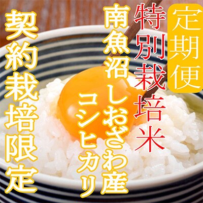 2023年3月発送開始『定期便』特別栽培米10Kg※生産者限定  南魚沼しおざわ産コシヒカリ全3回
