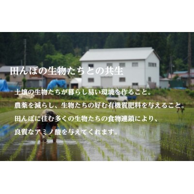 【最高金賞受賞】南魚沼産コシヒカリ 「雪と技」5kg×1袋 栽培期間中農薬8割減・化学肥料不使用