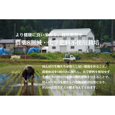 【毎月定期便】《雪蔵貯蔵米》 南魚沼産コシヒカリ 雪と技【 真空2合 (精米)×12袋 】×全6回