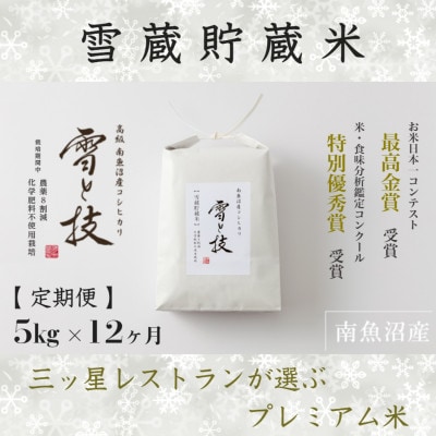 【発送月固定定期便】10月より発送予定 雪蔵貯蔵 南魚沼産コシヒカリ 雪と技 5kg全12回