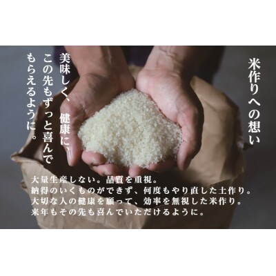 【発送月固定定期便】10月より発送予定 雪蔵貯蔵 南魚沼産コシヒカリ 雪と技 2kg全12回