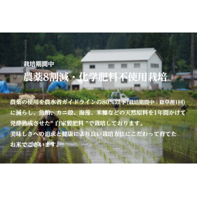 【発送月固定定期便】10月より発送予定 雪蔵貯蔵 南魚沼産コシヒカリ 雪と技2合×12袋全12回