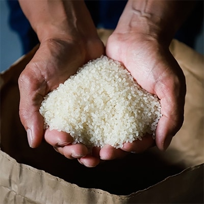 2022年2月発送開始『定期便』南魚沼産コシヒカリ「UONUMA」5kg(精米) 全12回