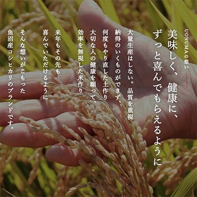 2022年1月発送開始『定期便』南魚沼産コシヒカリ「UONUMA」5kg(精米) 全6回