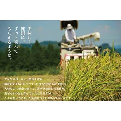 2022年6月発送開始『定期便』南魚沼産コシヒカリ「UONUMA」 5kg(精米) 全6回