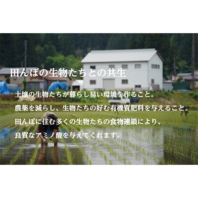 2022年6月発送開始『定期便』南魚沼産コシヒカリ 「雪と技」10kg(精米)　全9回