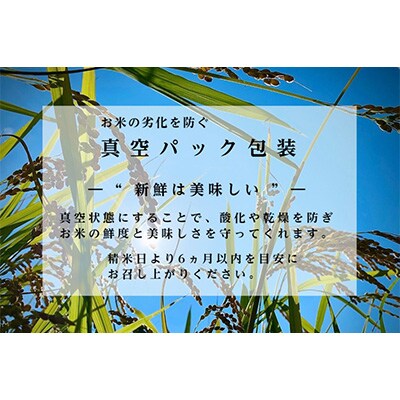 2023年3月発送開始『定期便』南魚沼産コシヒカリ 雪と技【 真空2合(精米)×12袋 】×全6回
