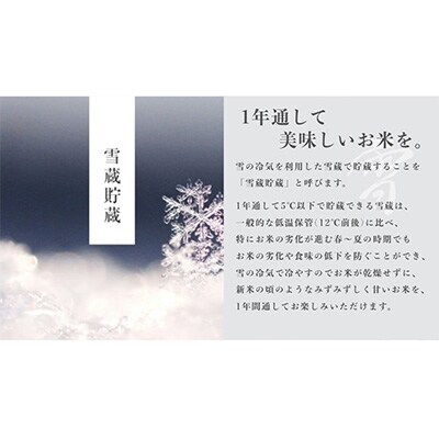 2023年5月発送開始『定期便』雪蔵貯蔵米 南魚沼産コシヒカリ「雪と技」10kg(精米)×全9回