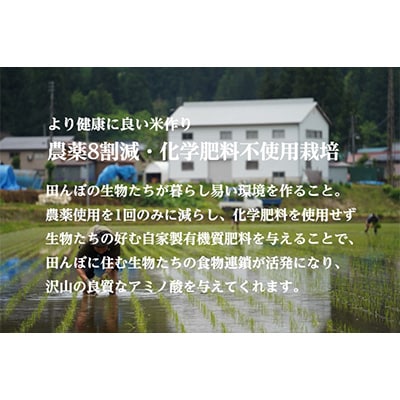 2023年8月発送開始『定期便』雪蔵貯蔵米 南魚沼産コシヒカリ「雪と技」5kg(精米)×全9回