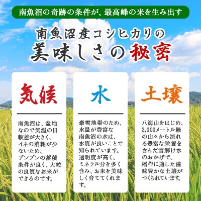 新潟県 南魚沼市 魚沼 お米ンチカツ 80g 5個入り 2パック 計10個