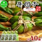 【のし付き】やまと食品の笹団子 40g×10個×4 袋 計40個 【12/10までご入金で年内発送】