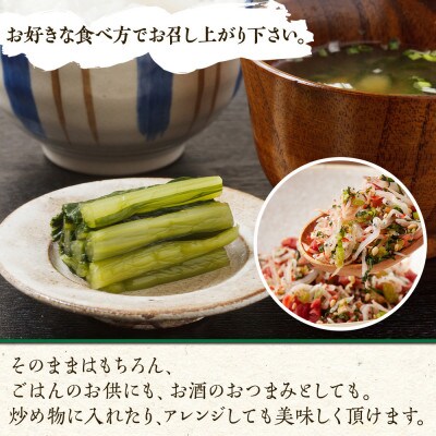 野沢菜漬(500g 2パック 計1kg)やまと食品の漬物 ご飯のお供  野菜【新潟県 南魚沼市】