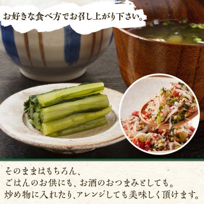 野沢菜漬(500g 4パック 計2kg)やまと食品の漬物 ご飯のお供  野菜【新潟県 南魚沼市】