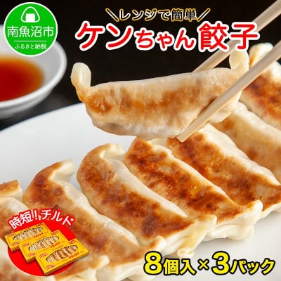 新潟県 南魚沼市 チルド手焼き餃子 8個入り × 3パック 計24個 ケンちゃん餃子