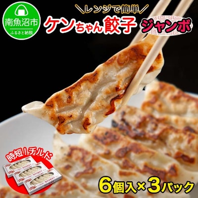 新潟県 南魚沼市 チルドジャンボ餃子 6個入り × 3パック 計18個 ケンちゃん餃子