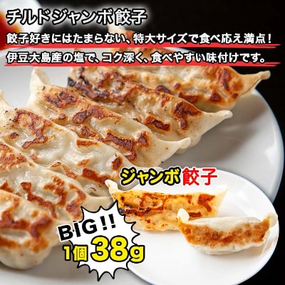 新潟県 南魚沼市 チルドジャンボ餃子 6個入り × 3パック 計18個 ケンちゃん餃子
