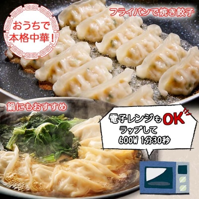 新潟県 南魚沼市 チルドジャンボ餃子 6個入り × 3パック 計18個 ケンちゃん餃子