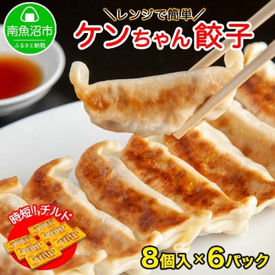新潟県 南魚沼市 チルド手焼き餃子 8個入り × 6パック 計48個 ケンちゃん餃子