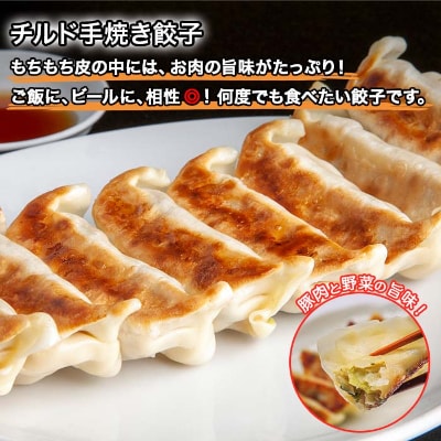 新潟県 南魚沼市 チルド手焼き餃子 8個入り × 6パック 計48個 ケンちゃん餃子