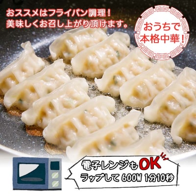 新潟県 南魚沼市 チルド手焼き餃子 8個入り × 6パック 計48個 ケンちゃん餃子