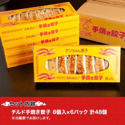 新潟県 南魚沼市 チルド手焼き餃子 8個入り × 6パック 計48個 ケンちゃん餃子