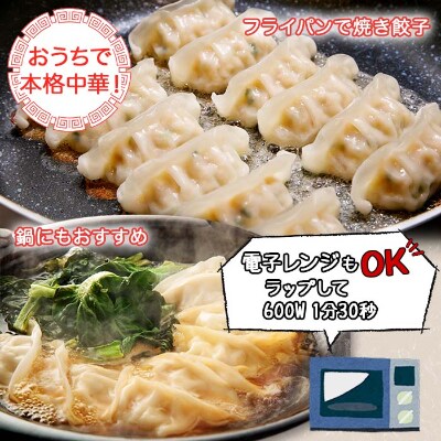 新潟県 南魚沼市 チルドジャンボ餃子 6個入り × 6パック 計36個 ケンちゃん餃子