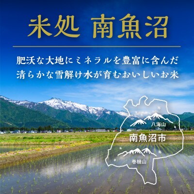 【令和7年産 新米予約】　おかずのいらない魚沼産コシヒカリ　白米5kg