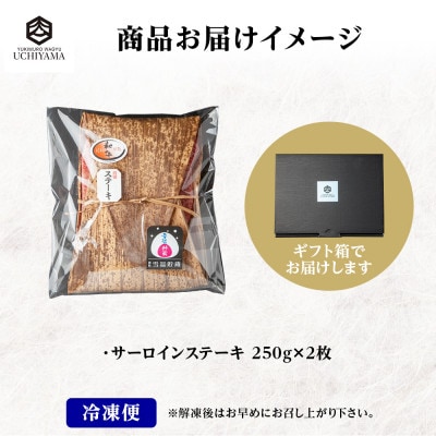 サーロイン ステーキ 250g 2枚 にいがた和牛 黒毛和牛 国産 内山肉店 新潟県 南魚沼市