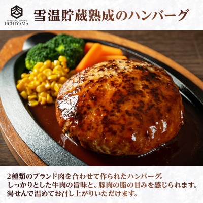 ハンバーグ 150g 4個 計600g にいがた和牛 雪ひかりポーク 内山肉店 新潟県 南魚沼市