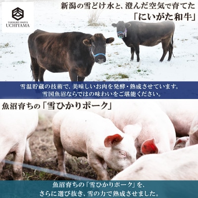 ハンバーグ 2個 & 豚肩ロース 2枚 にいがた和牛 雪ひかりポーク 内山肉店 新潟県 南魚沼市