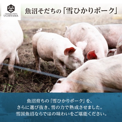 無地熨斗 豚 肩ロース 130g 4枚 計520g 雪ひかりポーク 国産 肉 内山肉店 新潟県