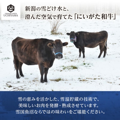 無地熨斗 ローストビーフ & 合鴨ローストスモーク  各200g  にいがた和牛 専用ソース付 新潟
