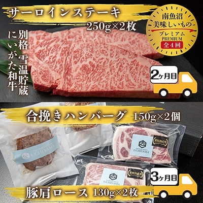 2022年10月発送開始『定期便』【さとふる限定】南魚沼 美味しいものプレミアムセット 全4回