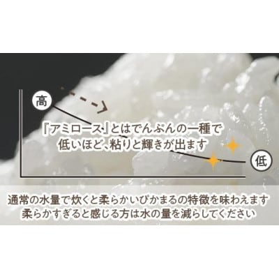 【令和6年産】南魚沼産ぴかまる(精米)5kg×1袋「まつえんどんのお米」