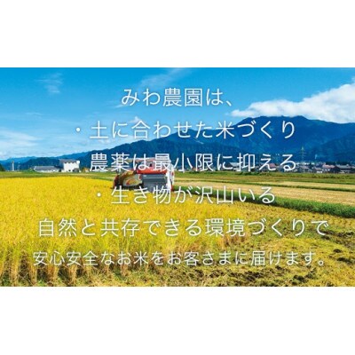 令和5年産　最高金賞受賞　数量限定 南魚沼産コシヒカリ精米5kg×2 まつえんどんのお米　