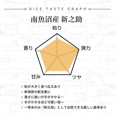 【令和8年産】精米5kg 南魚沼産新之助