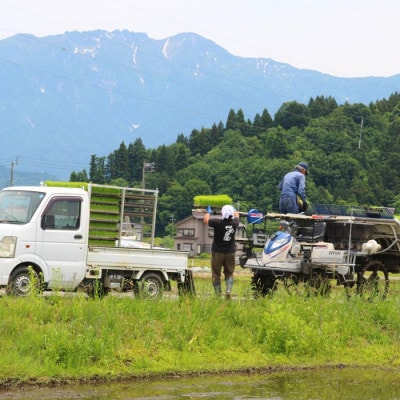 【令和8年産】精米5kg 南魚沼産にじのきらめき