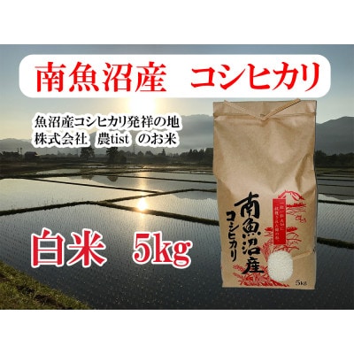 【南魚沼産】コシヒカリ 白米 5kg 香り高く冷めてもおいしい農tistのお米