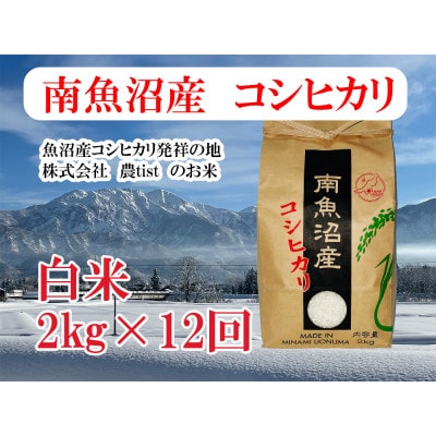 【毎月定期便】南魚沼産 コシヒカリ 白米2kg全12回