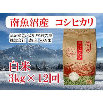 【毎月定期便】南魚沼産 コシヒカリ 白米3kg全12回