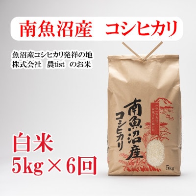 【毎月定期便】南魚沼産 コシヒカリ 白米5kg全6回