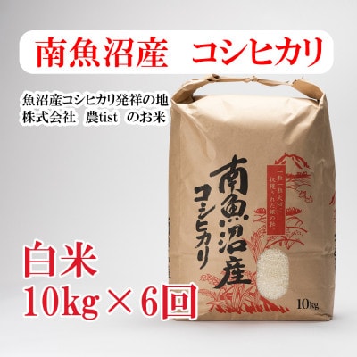 【毎月定期便】南魚沼産 コシヒカリ 白米10kg全6回
