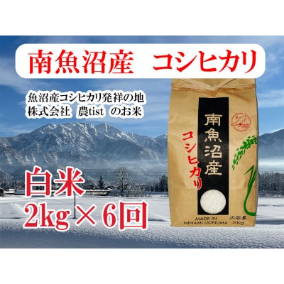 【毎月定期便】南魚沼産 コシヒカリ 白米2kg全6回