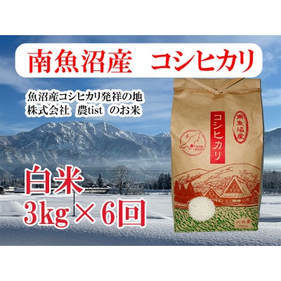 【毎月定期便】南魚沼産 コシヒカリ 白米3kg全6回