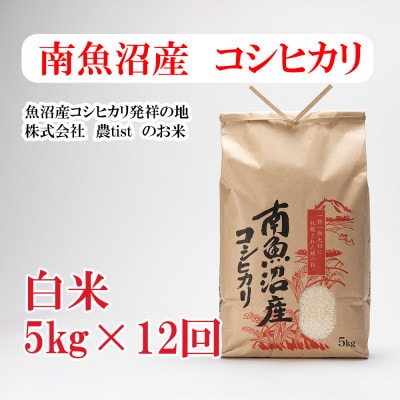 【毎月定期便】南魚沼産 コシヒカリ 白米5kg全12回