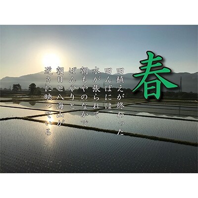 2022年7月発送開始『定期便』南魚沼産コシヒカリ　白米　3kg×6回