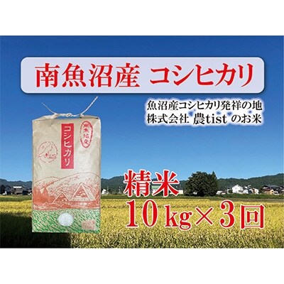 2023年5月発送開始『定期便』南魚沼産コシヒカリ　白米　10kg×3回
