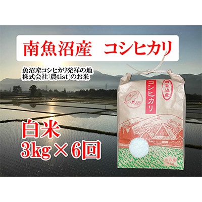 2023年7月発送開始『定期便』南魚沼産コシヒカリ  白米 3kg 全6回